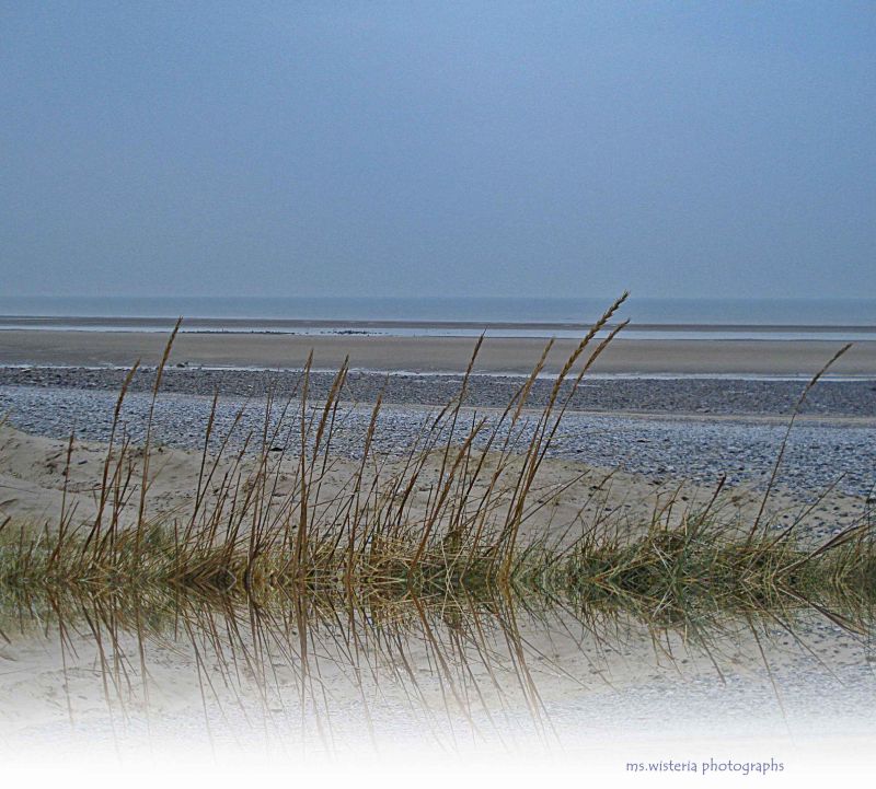 the beach on a cold winter day.jpg